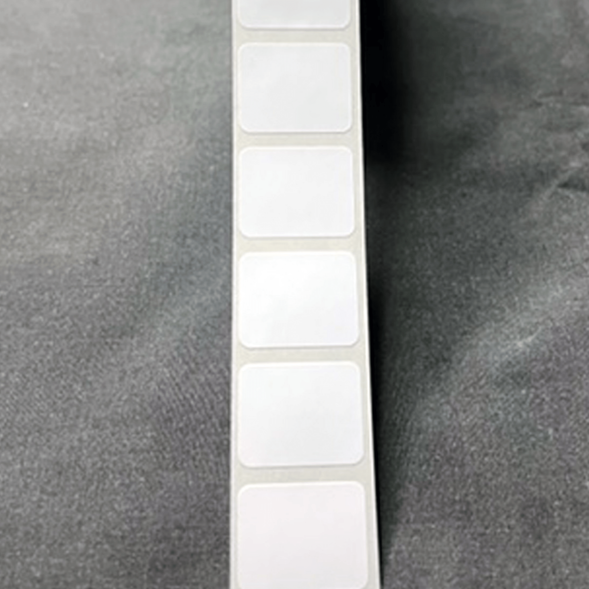 White Polyester Thermal Transfer Slide Labels, Xylene and Chemical Resistant  - 0.9375" X 0.75" - LA-TFF206-12