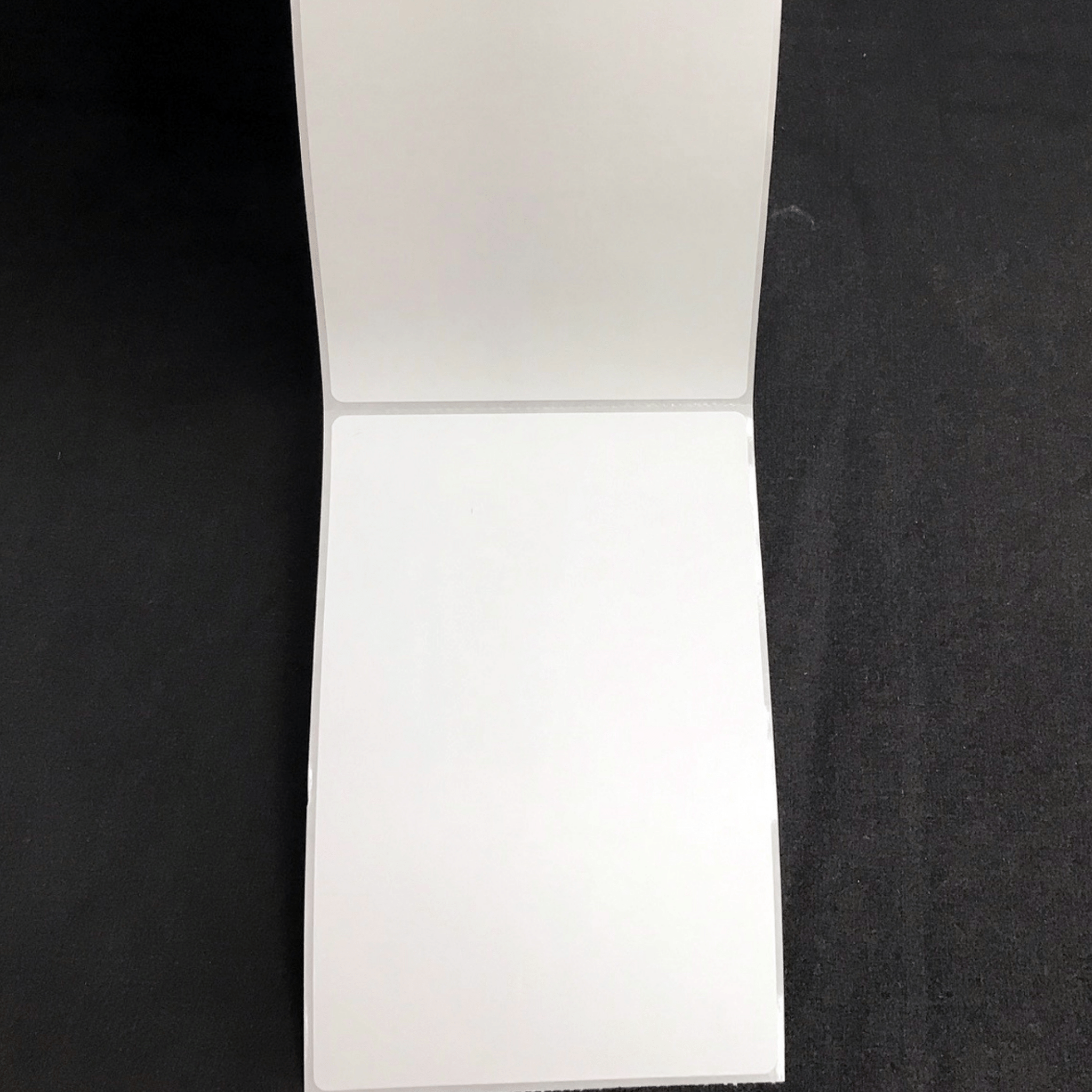Pack of 4 Rolls - White Thermal Transfer Shipping Labels - 4 x 6" (LM-TTL-4060)